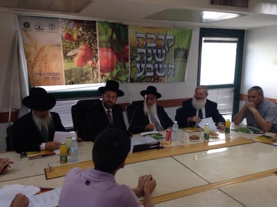 צפו: כך נמכרו קרקעות המדינה ל'גר תושב'