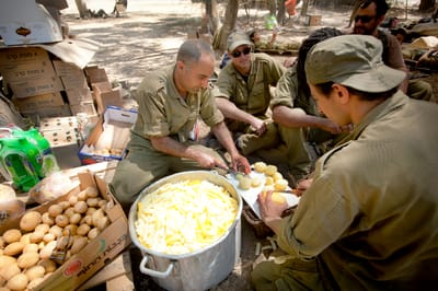 משרד הבטחון: צה"ל ישתמש בהיתר מכירה