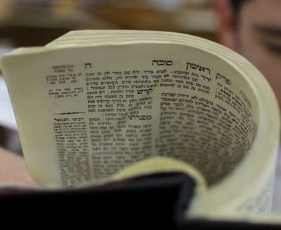 גולשי סרוגים לומדים את הדף היומי