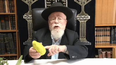 כיצד לבחור את ארבעת המינים?