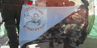 צפו: סוכה מוארת ומנומרת