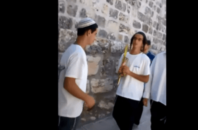 מרגש: נטילת לולב בהר הבית