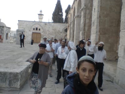 צפו: צרחות ונאצות על העולים להר הבית