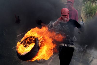 שלילת אזרחות וגירוש לעזה: תכנית לוין למיגור הטרור