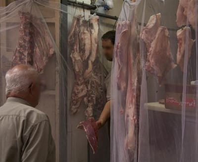צו סגירה מיידי למשחטת העופות "דלישס" בי-ם