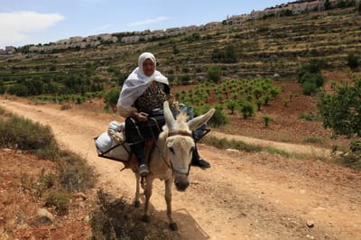 חשד: קניית הקרקעות מהערבים נעשתה במרמה