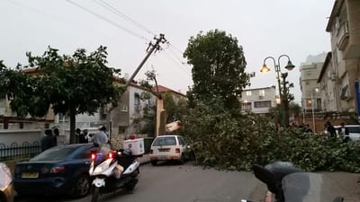 עץ קרס ופגע בילדה בת 7 בבני ברק