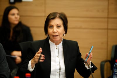 גלאון: "חודש מהבחירות והשמאל עדיין מתבכיין"