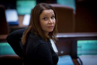 "גם הנהגה חד-ראשית של הרצוג מגוחכת"
