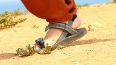 צפו בחדש של אנדרדוס: "סנדלים"