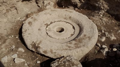 לכבוד החנוכה: נחשף בית בד בן כ-1300 שנים בשילה