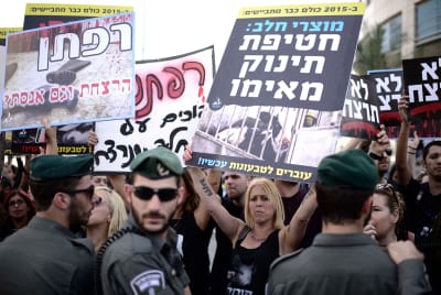 שו"ת: צער בעלי חיים מונע מתן תעודת כשרות?