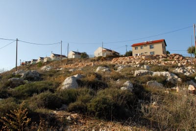 זעם ביצהר: "הערבים באו רק לגנוב?"