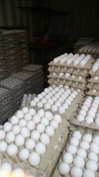30,000 ביצים מזויפות נתפסו בדרך לחנויות בי-ם