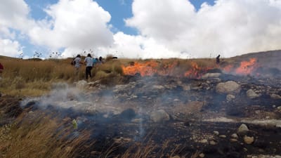 במהלך סוף השבוע: גל הצתות ערביות סביב יצהר