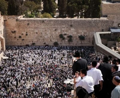 הרב רבינוביץ': "מי יודע כמה חללים נפלו עד כה?"