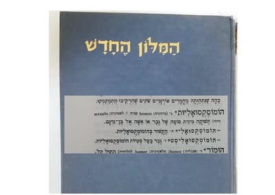 לפי מילון אבן שושן, הרב יגאל לוינשטיין צודק