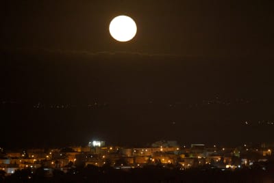 מחזה של פעם בחיים: את התופעה הזו אסור לפספס
