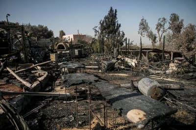 איגוד השמאים הקים מוקד סיוע לנפגעי רכוש כתוצאה מהשריפות