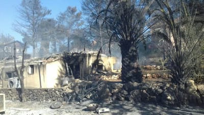 חודש ארגון בוער:ראיון עם הקומונרית של נווה צוף