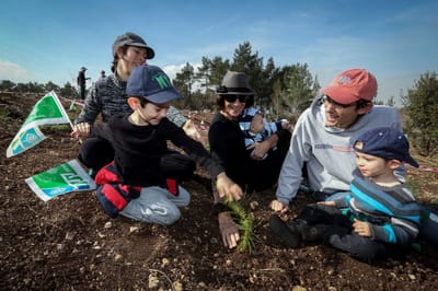 ט"ו בשבט של חינוך: לנטוע בלבבות התלמידים