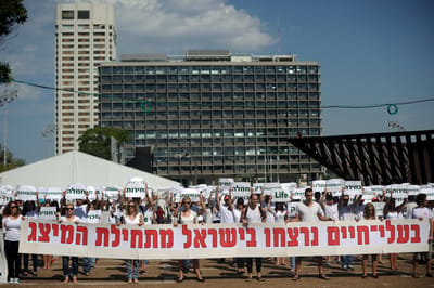 "היטלר היה צמחוני" – שבר רוחני בעקבות השואה