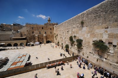 צפו באיכות HD: משדר מיוחד לתשעה באב
