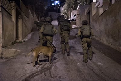 לוחם דובדבן נפצע מירי כוחותינו בגוש עציון