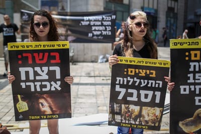 מדוע רק שמאלנים פעילים למען זכויות בעלי חיים?
