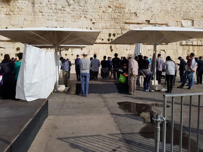 לפני בג"צ: עשרות התפללו בהפרדה ב'כותל הרפורמי'