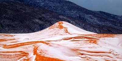 תופעה נדירה: שלג במדבר החם בעולם•צפו