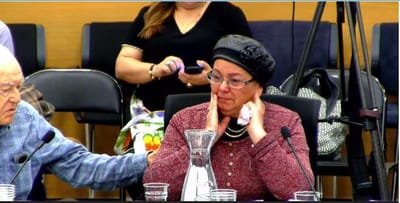 "מדובר בחיי אדם"; מחריף המאבק נגד תאונות הגמלים בנגב