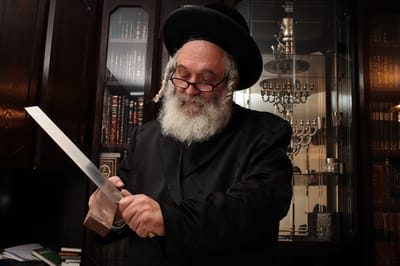 אחרי חוק השואה, הצעת חוק לאסור שחיטה בפולין