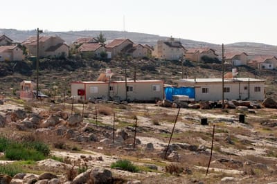 עובדי הסינמטק סירבו לרדת בסוסיא: "בזוי מוסרית"