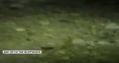 'זה עמוק': ההרוגה תיעדה את השטפון לפני האסון. צפו