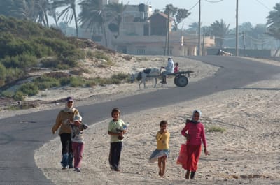 מכתב גלוי לנוער העזתי | מאת הרב של גוש קטיף