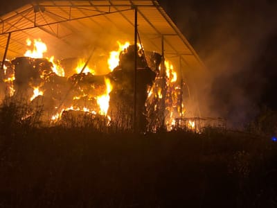 טרור חקלאי בצפון: 350 ערמות חציר הוצתו הלילה