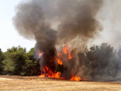 טרור העפיפונים הכה קשות בשבת; צה"ל תקף בעזה