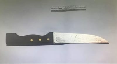 הסכין ששימשה את המחבל (קרדיט: דוברות משטרת ישראל)