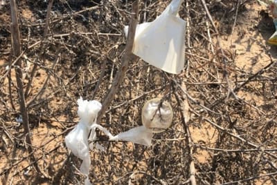הגננת: "אמרנו שיר למעלות ופינינו את כל הילדים"