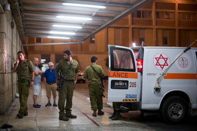 הותר לפרסום: חייל נפצע קשה מנשיכת בעל חיים