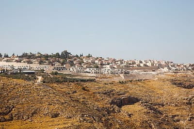 צעק "אללה וואכבר": ערבי תקף אזרחים בישוב תקוע ונוטרל