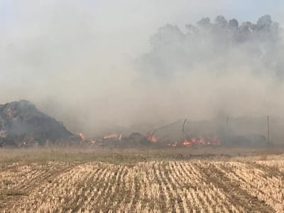 שריפה בדרום: תושבי מושב ברכיה פונו מבתיהם