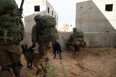 מחר: תרגיל נרחב של צה"ל בנגב ובערבה