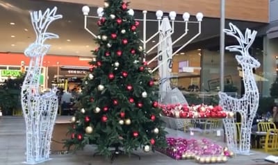פרובוקציה: עץ אשוח בלב אשדוד מעורר סערה