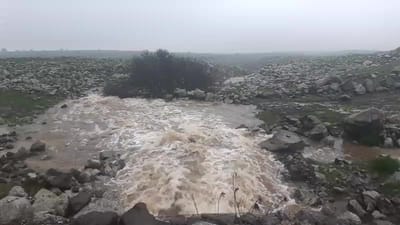 עוד עלייה נאה: מפלס הכנרת בדרך לקו האדום