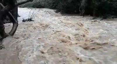 גשמי ברכה • תוך יום: מפלס הכינרת רשם זינוק אדיר