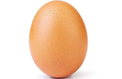 מטורף: זו הביצה שמשגעת את אינסטגרם