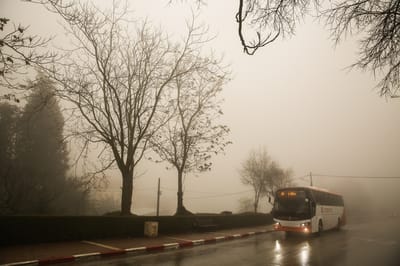 סערה ברחבי הארץ: צפי לשלג שיגיע מעל ל- 10 ס"מ