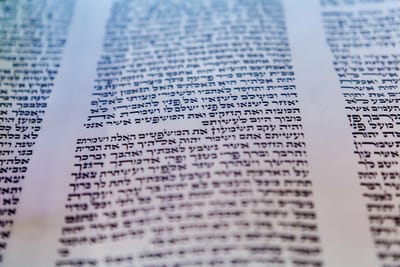 תורה ששרה בשני קולות/ הרב אלקנה שרלו